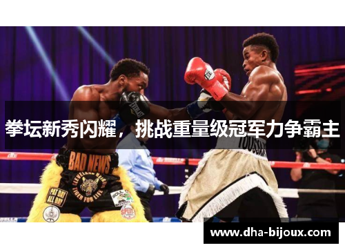 拳坛新秀闪耀，挑战重量级冠军力争霸主